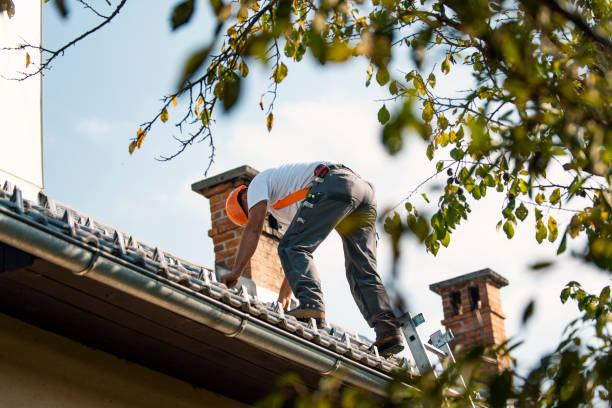 Best Roof Gutter Cleaning  in Vassar College, NY